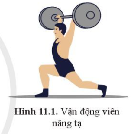 Sinh học 10 Bài 11: Tổng hợp và phân giải các chất trong tế bào | Giải Sinh 10 Cánh diều (ảnh 1)