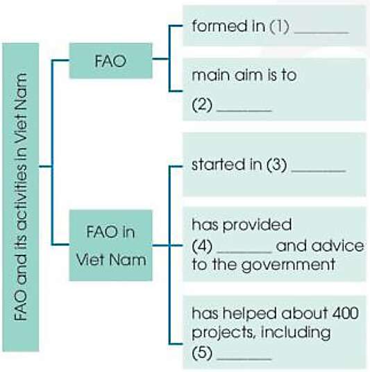 Unit 7 Communication and Culture / CLIL lớp 10 trang 83, 84 | Tiếng Anh 10 Kết nối tri thức (ảnh 1)