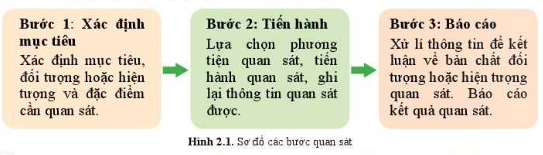 Sinh học 10 Bài 1: Làm quen với Sinh học | Giải Sinh 10 Cánh diều (ảnh 2)