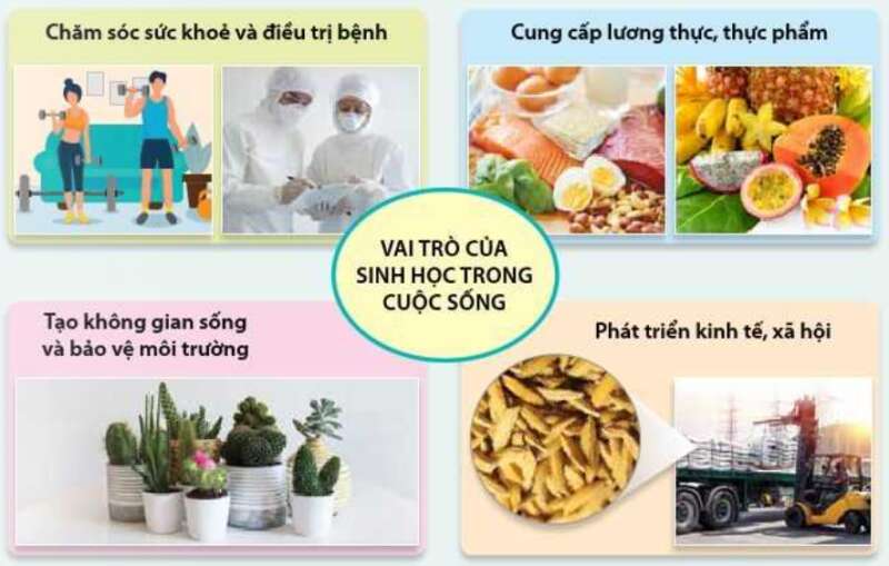 Sinh học 10 Bài 1: Giới thiệu chương trình môn Sinh học, Sinh học và sự phát triển bền vững | Giải Sinh 10 Cánh diều (ảnh 3)