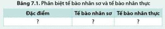 Sinh học 10 Bài 7: Tế bào nhân sơ và tế bào nhân thực | Giải Sinh 10 Cánh diều (ảnh 8)