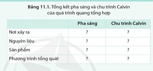 Sinh học 10 Bài 11: Tổng hợp và phân giải các chất trong tế bào | Giải Sinh 10 Cánh diều (ảnh 2)