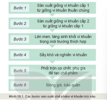 Giáo án Ứng dụng công nghệ vi sinh trong phòng trừ sâu, bệnh hại cây trồng (Kết nối tri thức) 2023| Công nghệ 10 (ảnh 1)