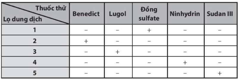 Sách bài tập Sinh học 10 Bài 7 (Chân trời sáng tạo): Thực hành: Xác định một số thành phần hóa học của tế bào (ảnh 4)