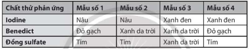 Sách bài tập Sinh học 10 Bài 7 (Chân trời sáng tạo): Thực hành: Xác định một số thành phần hóa học của tế bào (ảnh 5)