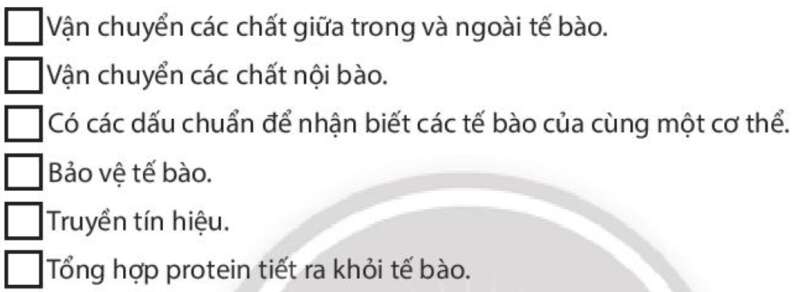 Sách bài tập Sinh học 10 Bài 9 (Chân trời sáng tạo): Tế bào nhân thực (ảnh 1)