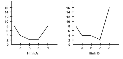 Sách bài tập Sinh học 10 (Chân trời sáng tạo) Ôn tập chương 4 (ảnh 2)