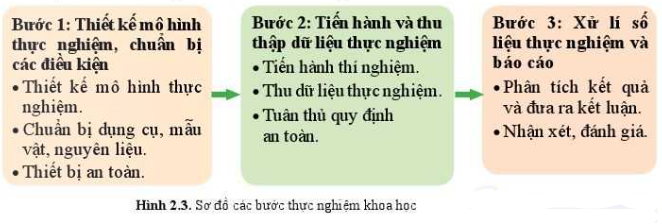 Sinh học 10 Bài 1: Làm quen với Sinh học | Giải Sinh 10 Cánh diều (ảnh 4)