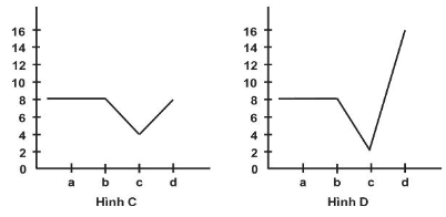 Sách bài tập Sinh học 10 (Chân trời sáng tạo) Ôn tập chương 4 (ảnh 3)