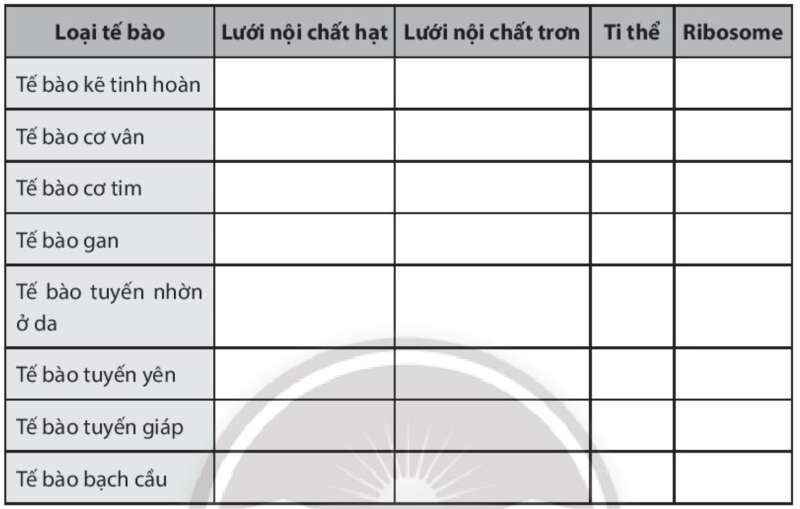 Sách bài tập Sinh học 10 Bài 9 (Chân trời sáng tạo): Tế bào nhân thực (ảnh 8)