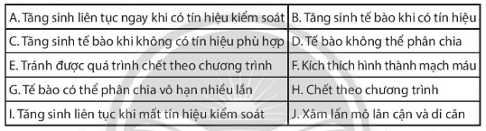 Sách bài tập Sinh học 10 (Chân trời sáng tạo) Ôn tập chương 4 (ảnh 4)