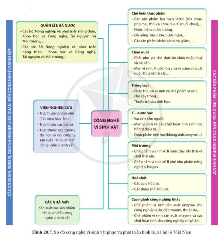 Sinh học 10 Bài 20: Thành tựu của công nghệ vi sinh vật và ứng dụng của vi sinh vật | Giải Sinh 10 Cánh diều (ảnh 4)