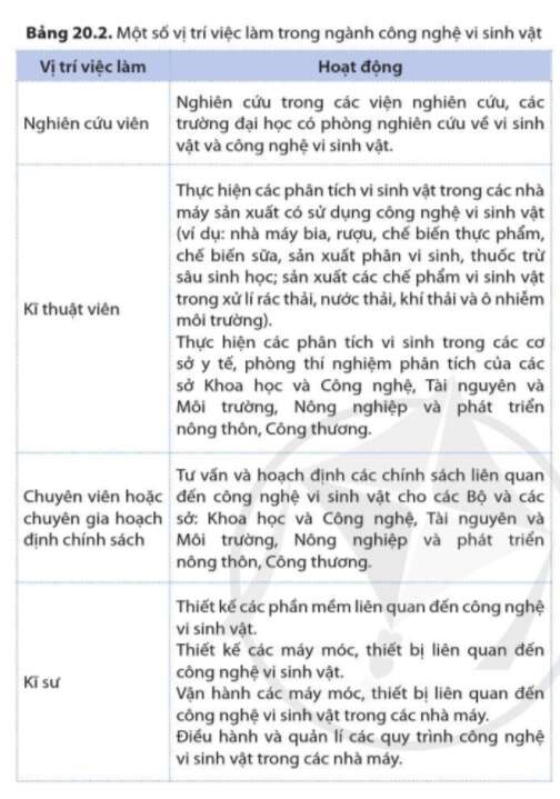 Sinh học 10 Bài 20: Thành tựu của công nghệ vi sinh vật và ứng dụng của vi sinh vật | Giải Sinh 10 Cánh diều (ảnh 6)