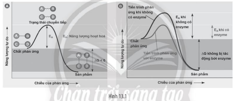 undefined (ảnh 2)