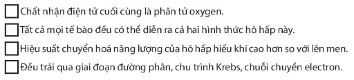 Sách bài tập Sinh học 10 Bài 16 (Chân trời sáng tạo): Phân giải các chất và giải phóng năng lượng (ảnh 1)