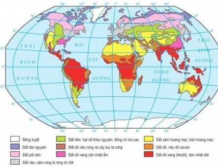 Lý thuyết Địa lí 10 Bài 2: Sử dụng bản đồ - Cánh diều (ảnh 1)