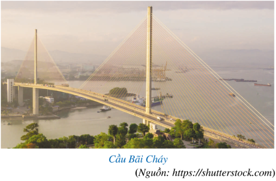 Giáo án Toán 7 Bài 8 (Cánh diều 2023): Đường vuông góc và đường xiên (ảnh 1)