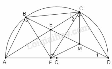 SBT Toán 9 Phần hình học: Ôn tập cuối năm | Giải SBT Toán lớp 9 (ảnh 19)