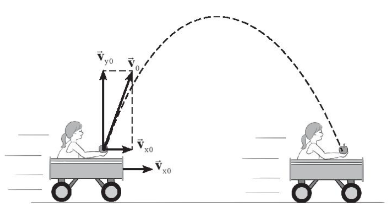 Sách bài tập Vật lí 10 Bài 9: Chuyển động ném - Chân trời sáng tạo (ảnh 1)