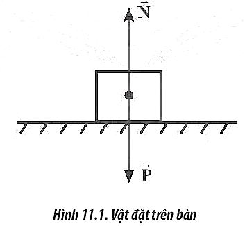 Sách bài tập Vật lí 10 Bài 11: Một số lực trong thực tiễn - Chân trời sáng tạo (ảnh 1)