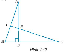 Sách bài tập Toán 7 Bài 15: Các trường hợp bằng nhau của tam giác vuông - Kết nối tri thức (ảnh 1)