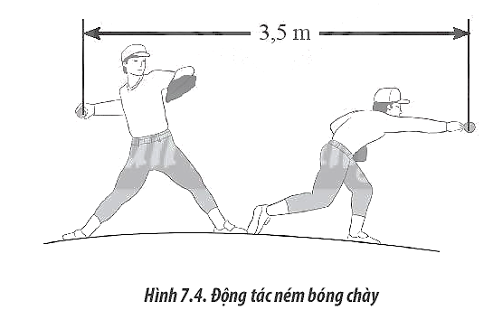 Sách bài tập Vật lí 10 Bài 7: Gia tốc – Chuyển động thẳng biến đổi đều - Chân trời sáng tạo (ảnh 1)