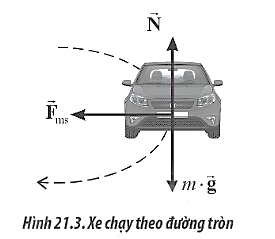 Sách bài tập Vật lí 10 Bài 21: Động lực học của chuyển động tròn. Lực hướng tâm - Chân trời sáng tạo (ảnh 1)