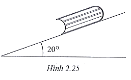 Sách bài tập Vật lí 10 Chủ đề 2: Lực và chuyển động - Cánh diều (ảnh 1)