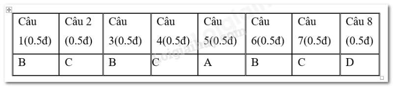 Bộ 20 đề thi Học kì 2 Ngữ văn 10 Kết nối tri thức có đáp án năm 2023 (ảnh 3)