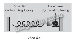 Giải SBT Vật lí 11 Bài 5 (Kết nối tri thức): Động năng. Thế năng. Sự chuyển hóa năng lượng trong dao động điều hòa (ảnh 1)