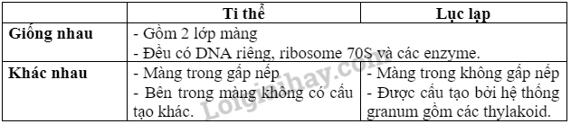 Sinh học 10 Bài 9: Tế bào nhân thực | Giải Sinh 10 Chân trời sáng tạo (ảnh 9)