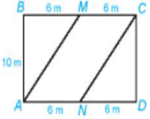Trên một mảnh đất hình chữ nhật có chiều dài 12m, chiều rộng 10m