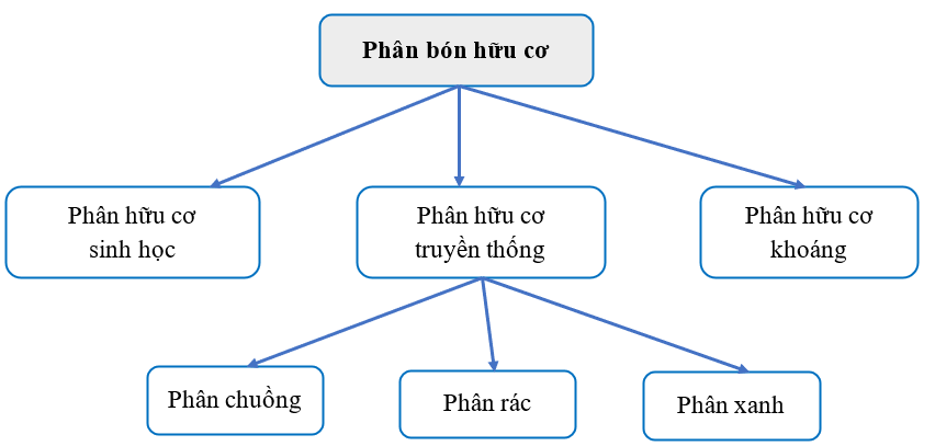 Hãy thiết kế sơ đồ tư duy phân loại phân bón hữu cơ