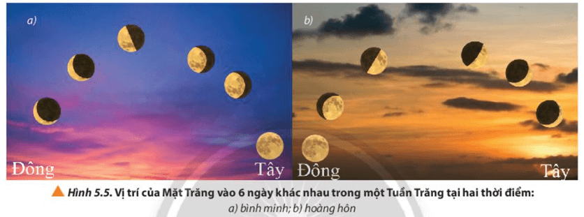 Quan sát hình 5.5 để mô tả hình dạng và vị trí của Mặt Trăng trong một