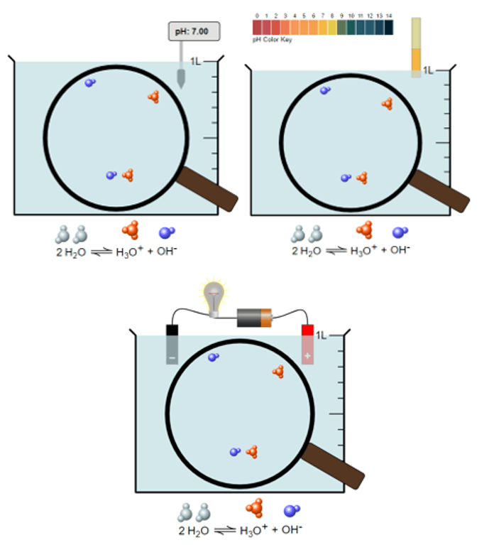 Thực hành thí nghiệm Dung dịch acid-base bằng phần mềm PhET