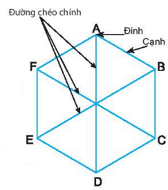 Hình vuông, Tam giác đều, Lục giác đều | Lý thuyết Toán lớp 6 Chân trời sáng tạo (ảnh 1)