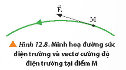 Lý thuyết Vật Lí 11 Chân trời sáng tạo Bài 12: Điện trường