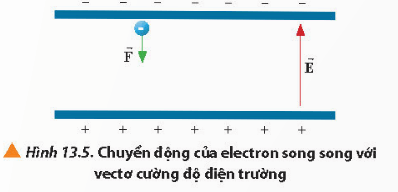 Lý thuyết Vật Lí 11 Chân trời sáng tạo Bài 13: Điện thế và thế năng điện