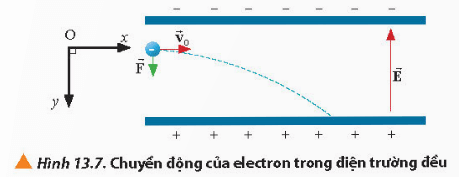 Lý thuyết Vật Lí 11 Chân trời sáng tạo Bài 13: Điện thế và thế năng điện