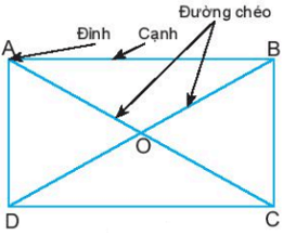 Hình chữ nhật, Hình thoi, Hình bình hành, Hình thang cân| Lý thuyết Toán lớp 6 Chân trời sáng tạo (ảnh 1)