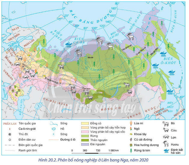 Lý thuyết Địa Lí 11 Chân trời sáng tạo Bài 20: Kinh tế Liên Bang Nga