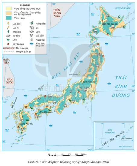 Lý thuyết Địa Lí 11 Kết nối tri thức Bài 24: Kinh tế Nhật Bản