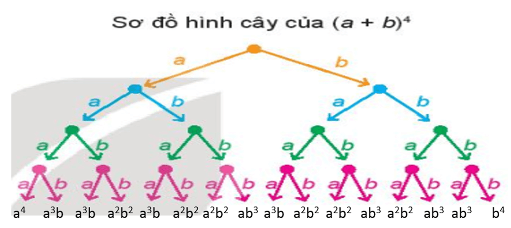 Nhị thức Newton (Lý thuyết Toán lớp 10) | Kết nối tri thức