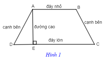 Hình thang – Hình thang cân (Lý thuyết Toán lớp 8) | Chân trời sáng tạo