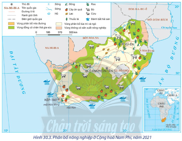 Lý thuyết Địa Lí 11 Chân trời sáng tạo Bài 30: Kinh tế Cộng hoà Nam Phi