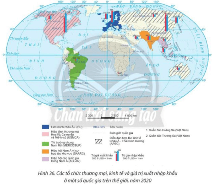 Lý thuyết Địa Lí 10 Chân trời sáng tạo Bài 36: Địa lí ngành thương mại (ảnh 1)