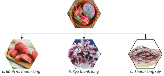 Lý thuyết KTPL 11 Chân trời sáng tạo Bài 6: Ý tưởng và cơ hội kinh doanh | Kinh tế Pháp luật 11