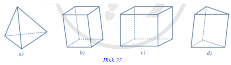 Tổng hợp lý thuyết Toán 11 Chương 4 Cánh diều