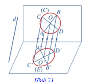 Tổng hợp lý thuyết Toán 11 Chương 4 Cánh diều