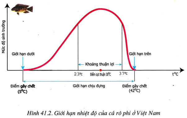 Lý thuyết Sinh học 11 Bài 39: Các nhân tố ảnh hưởng đến sinh trưởng và phát triển ở động vật (tiếp theo) | Lý thuyết Sinh học 11 đầy đủ, chi tiết nhất